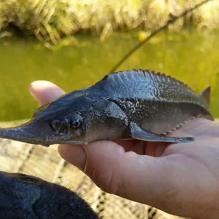 Sadky Kompleks wypoczynkowy Lety