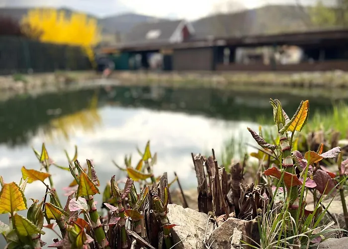 Sadky Üdülőpark *